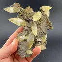 Calcite with Pyrite - image 1