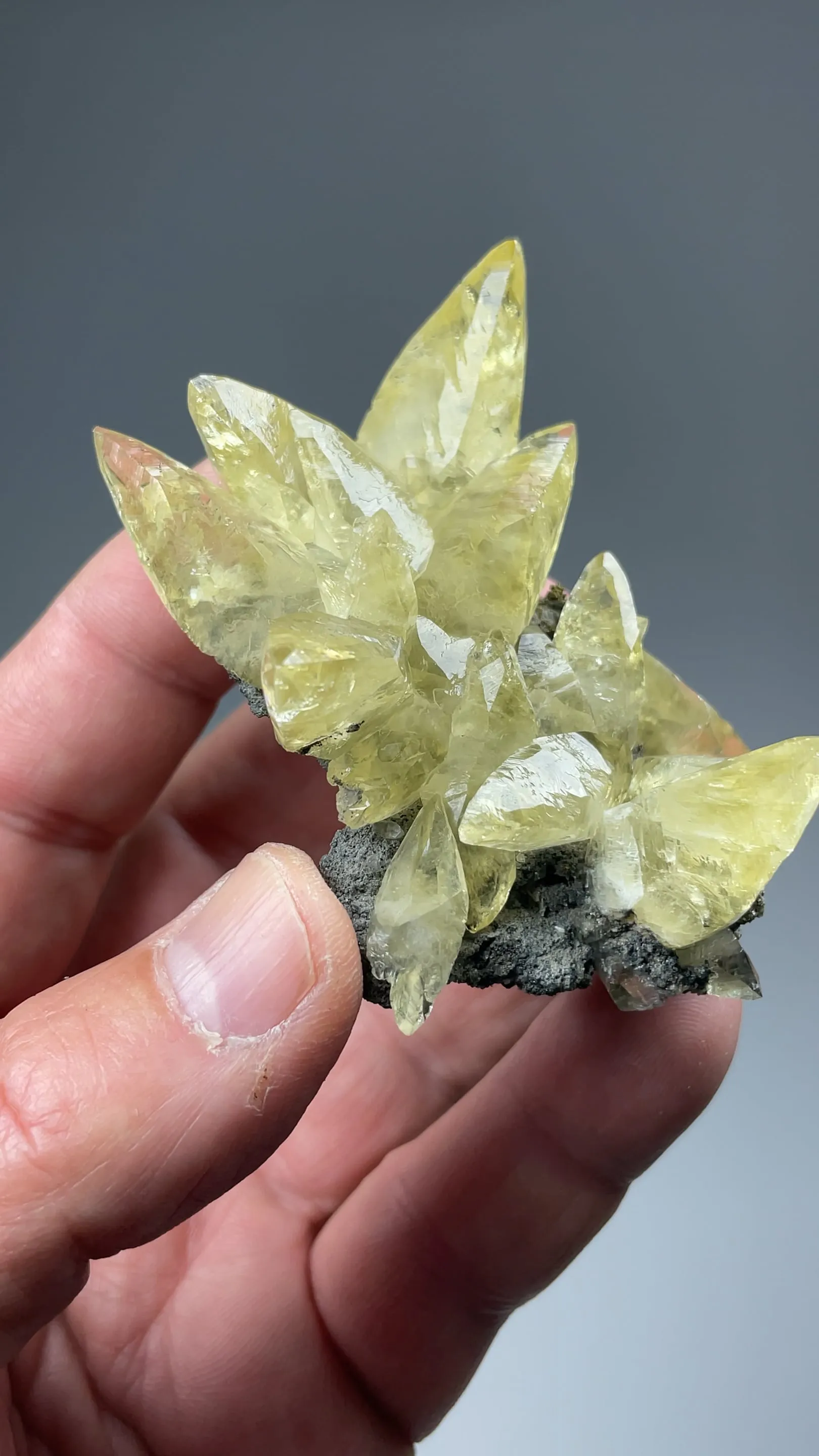Calcite with Pyrite - image 2
