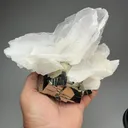 Calcite with Pyrite - image 2