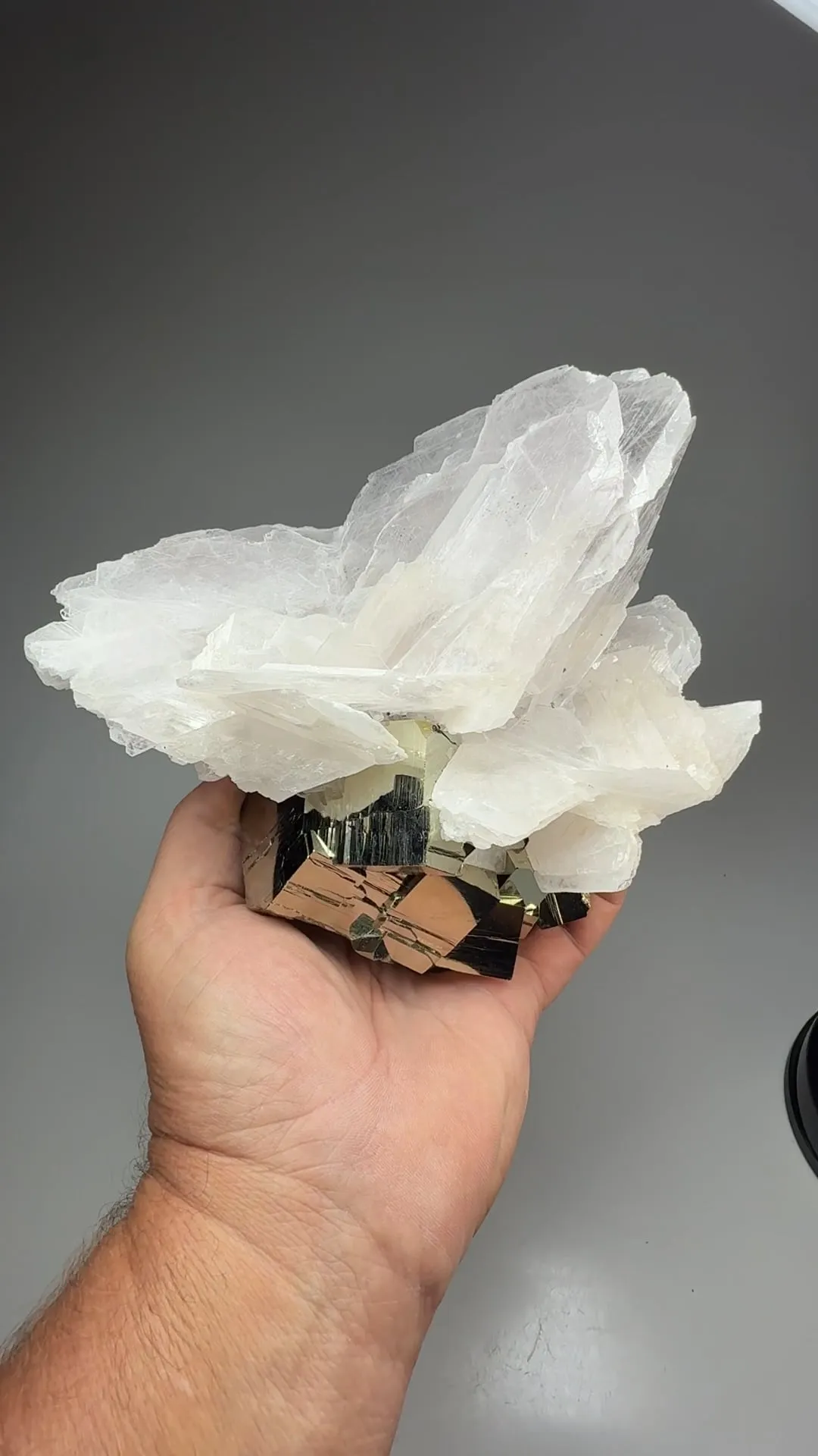 Calcite with Pyrite - image 2