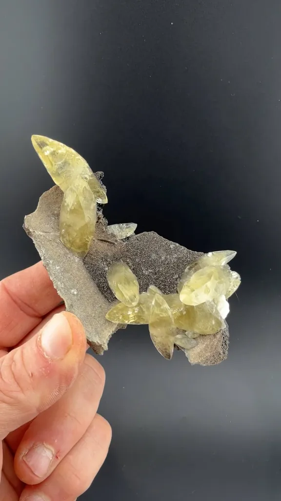 Calcite with Pyrite image