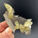 Calcite with Pyrite - image 1