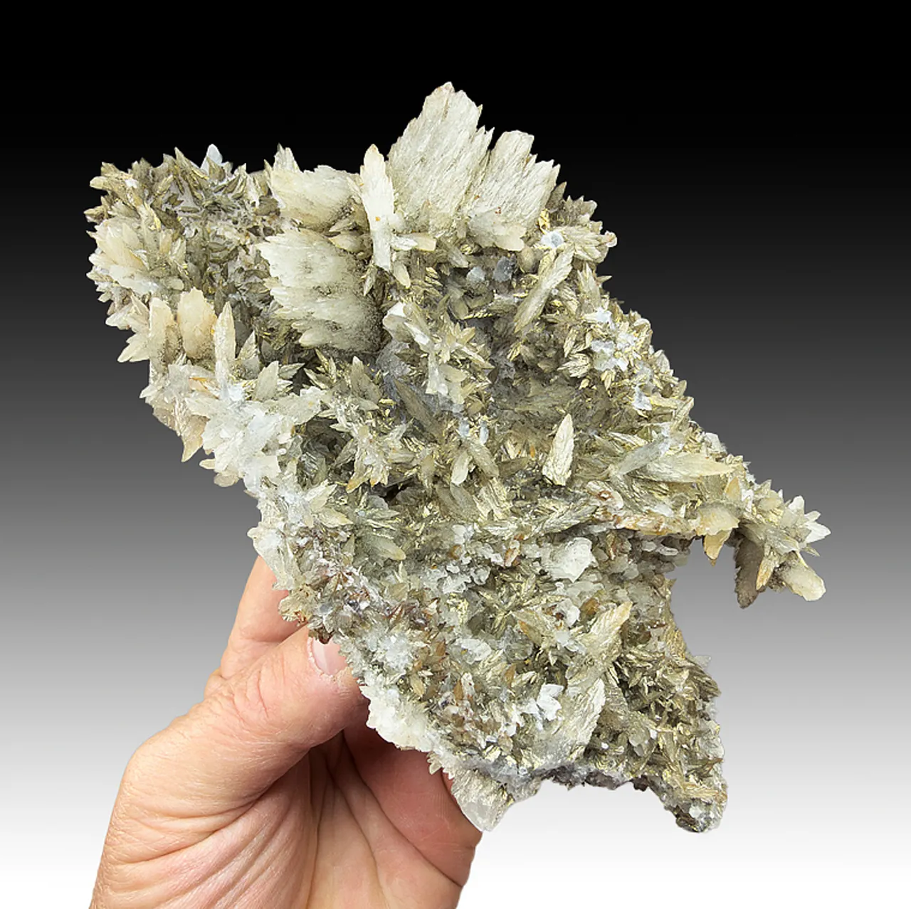 Calcite with Pyrite - image 1