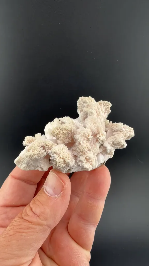 Calcite with Pyrite image