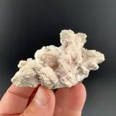 Calcite with Pyrite - image 1