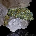 Calcite with Pyrite - image 2