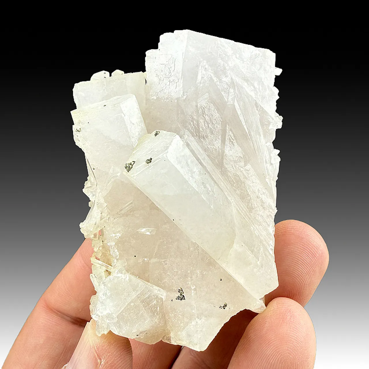 Calcite with Pyrite (ex John Ruskin) - image 1