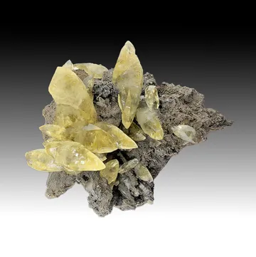 Calcite with Pyrite