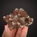 Calcite with Pyrite - image 2