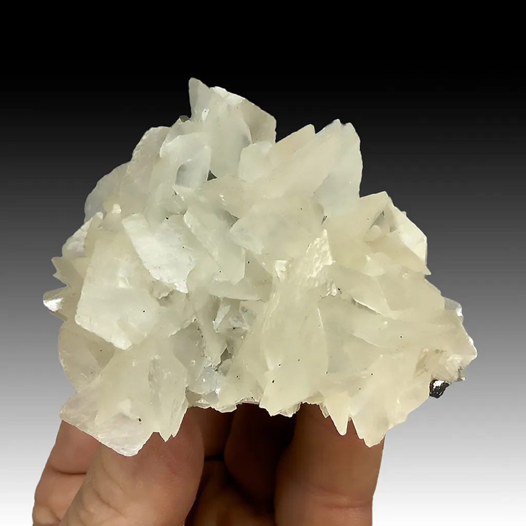 Calcite with Pyrite, Galena image