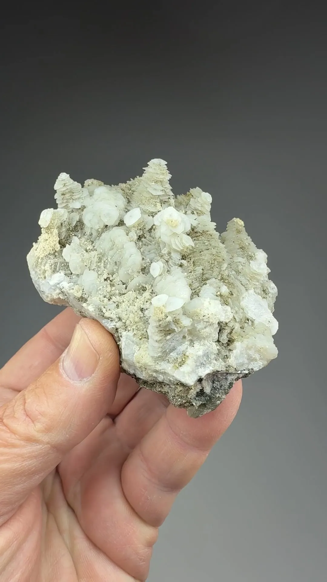 Calcite with Pyrite, Siderite - image 2