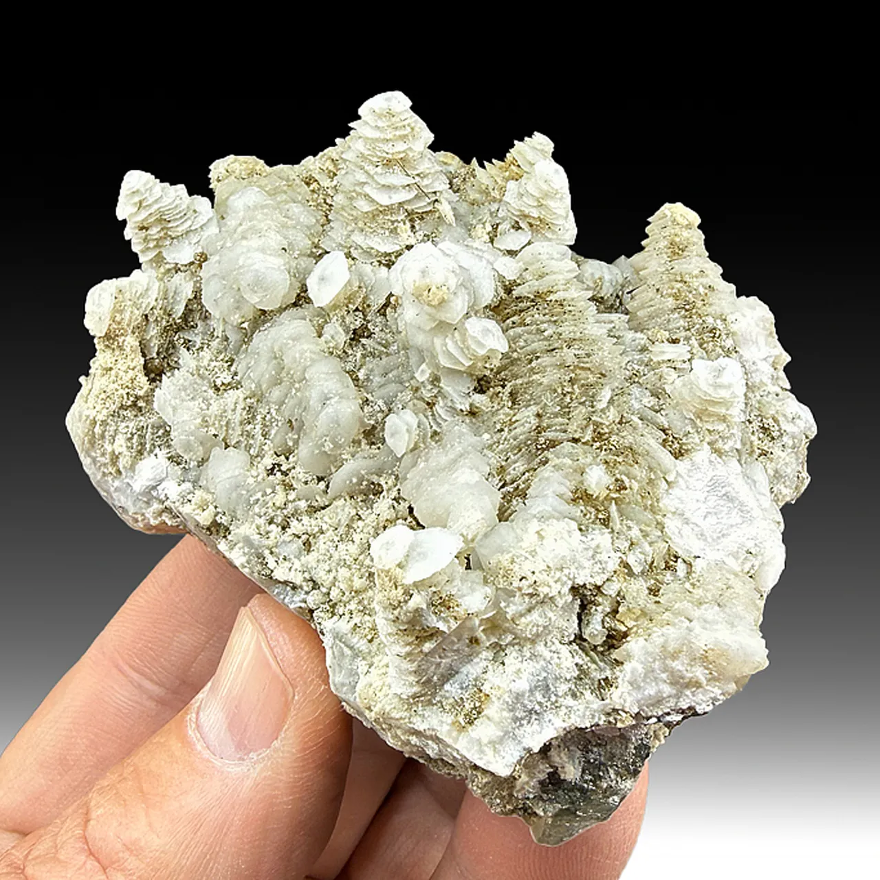 Calcite with Pyrite, Siderite - image 1