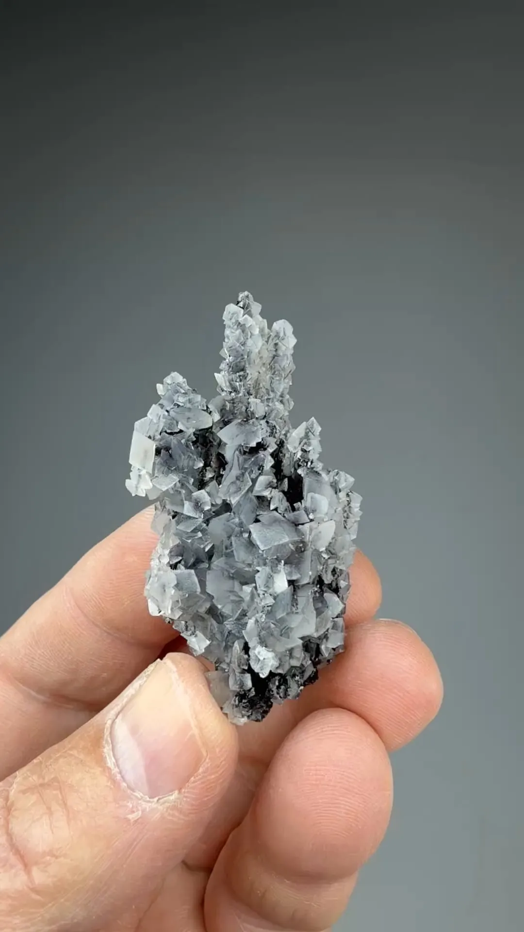 Calcite with Pyrolusite - image 2