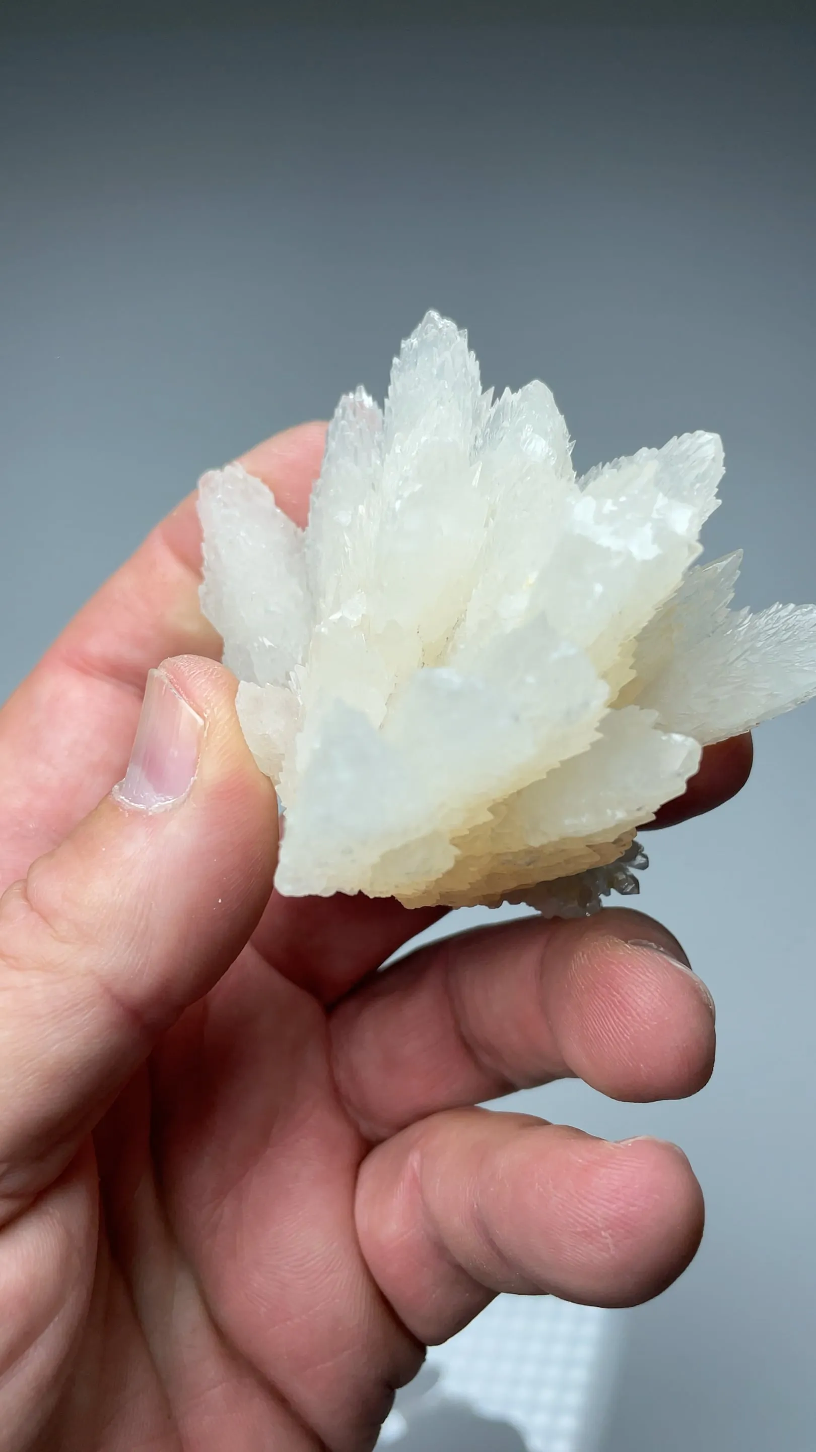Calcite with Quartz - image 2