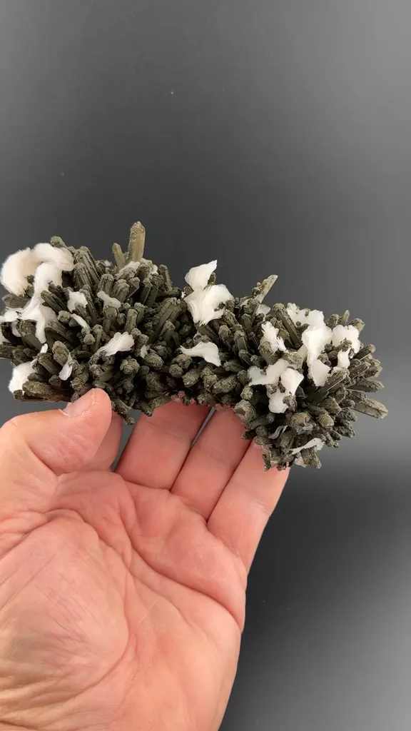 Calcite with Quartz, Chlorite image