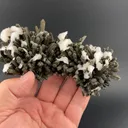 Calcite with Quartz, Chlorite - image 1