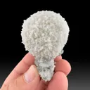 Calcite with Quartz, Pyrite - image 1