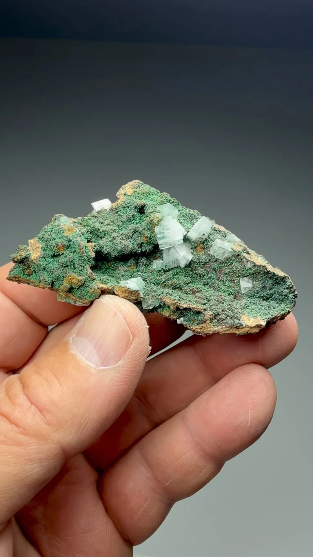 Calcite with Rosasite - image 2