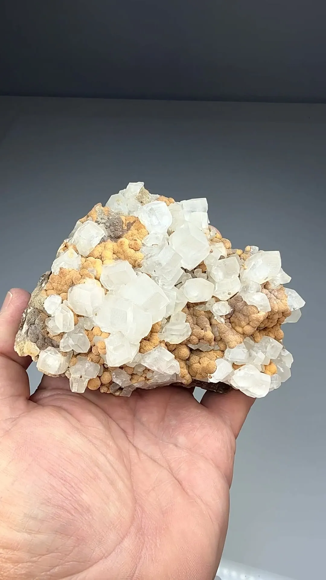 Calcite with Siderite (1097) - image 2