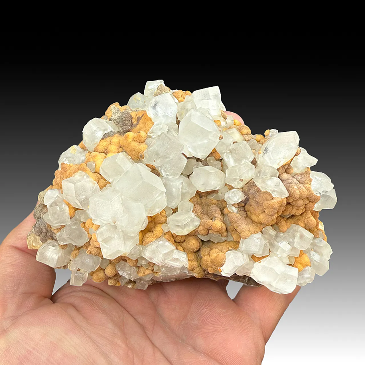 Calcite with Siderite (1097) - image 1