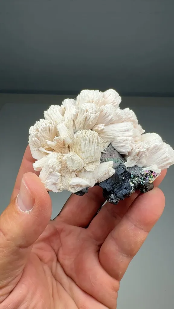Calcite with Sphalerite (CAR-0009) image