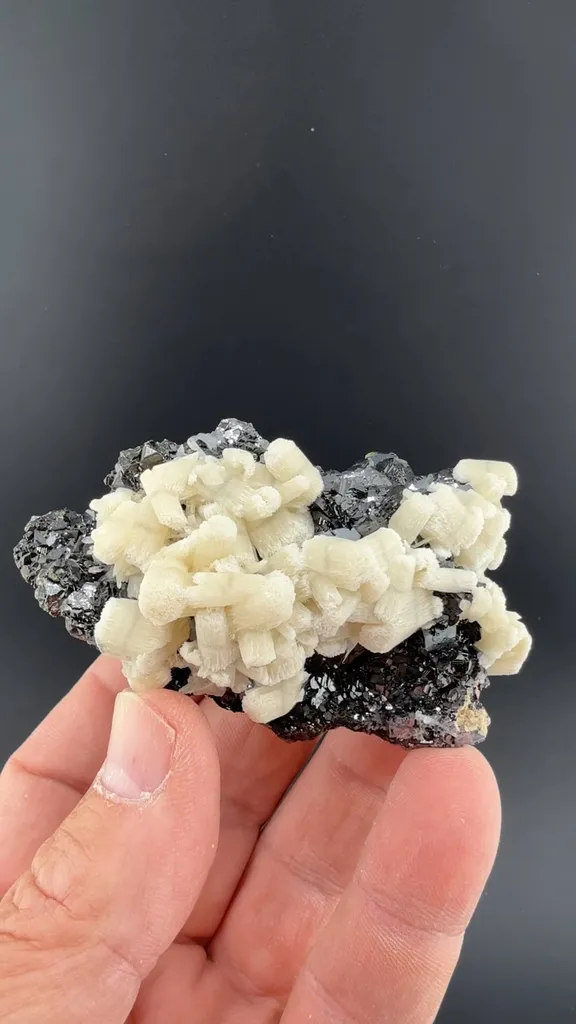 Calcite with Sphalerite, Galena image