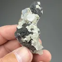 Calcite with Sphalerite, Quartz - image 2