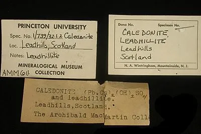 Caledonite, Leadhillite - image 4