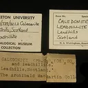 Caledonite, Leadhillite - image 4