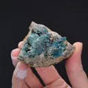 Caledonite with Lanarkite and SCOTLANDITE - image 2