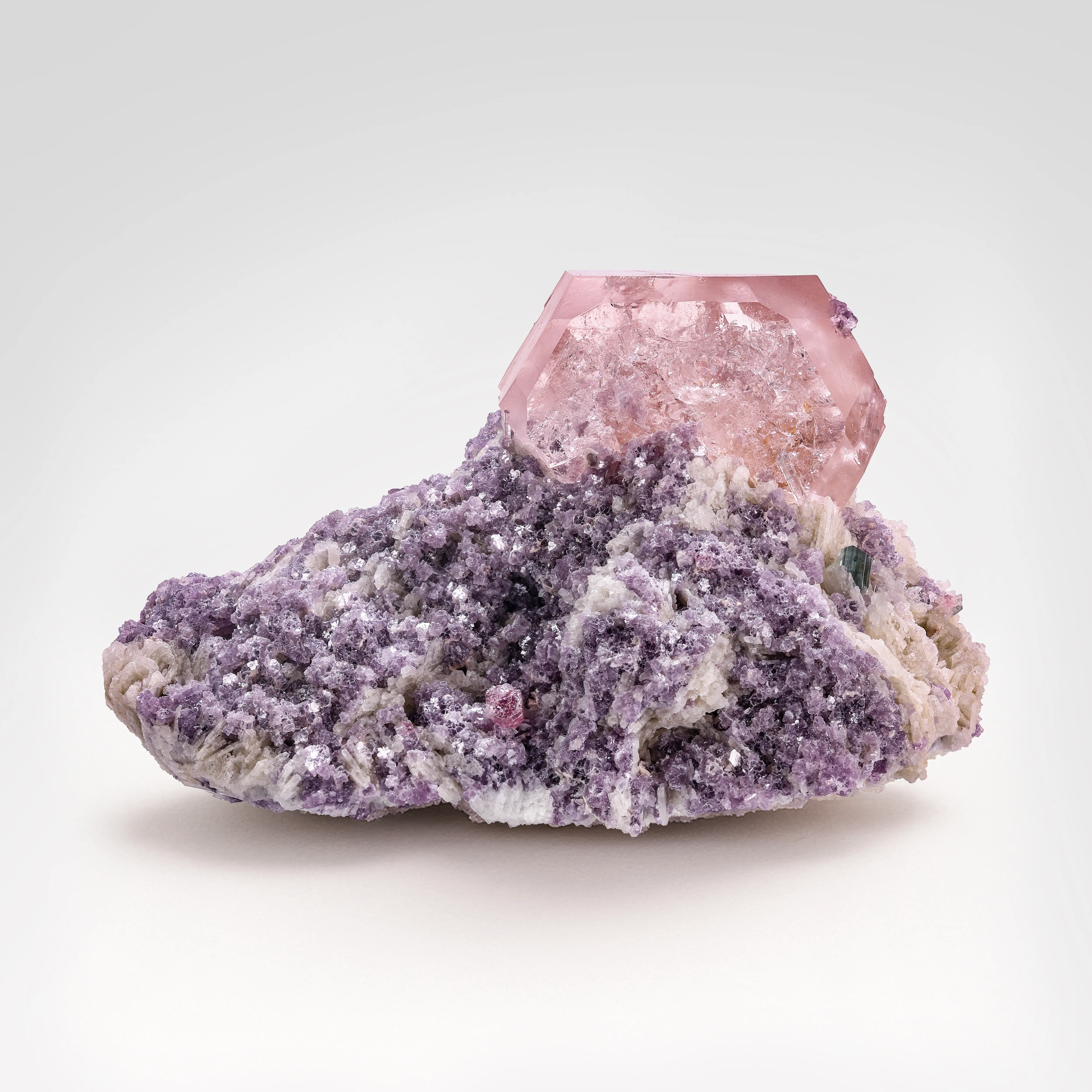 California Morganite from the Tourmaline King Mine - image 1