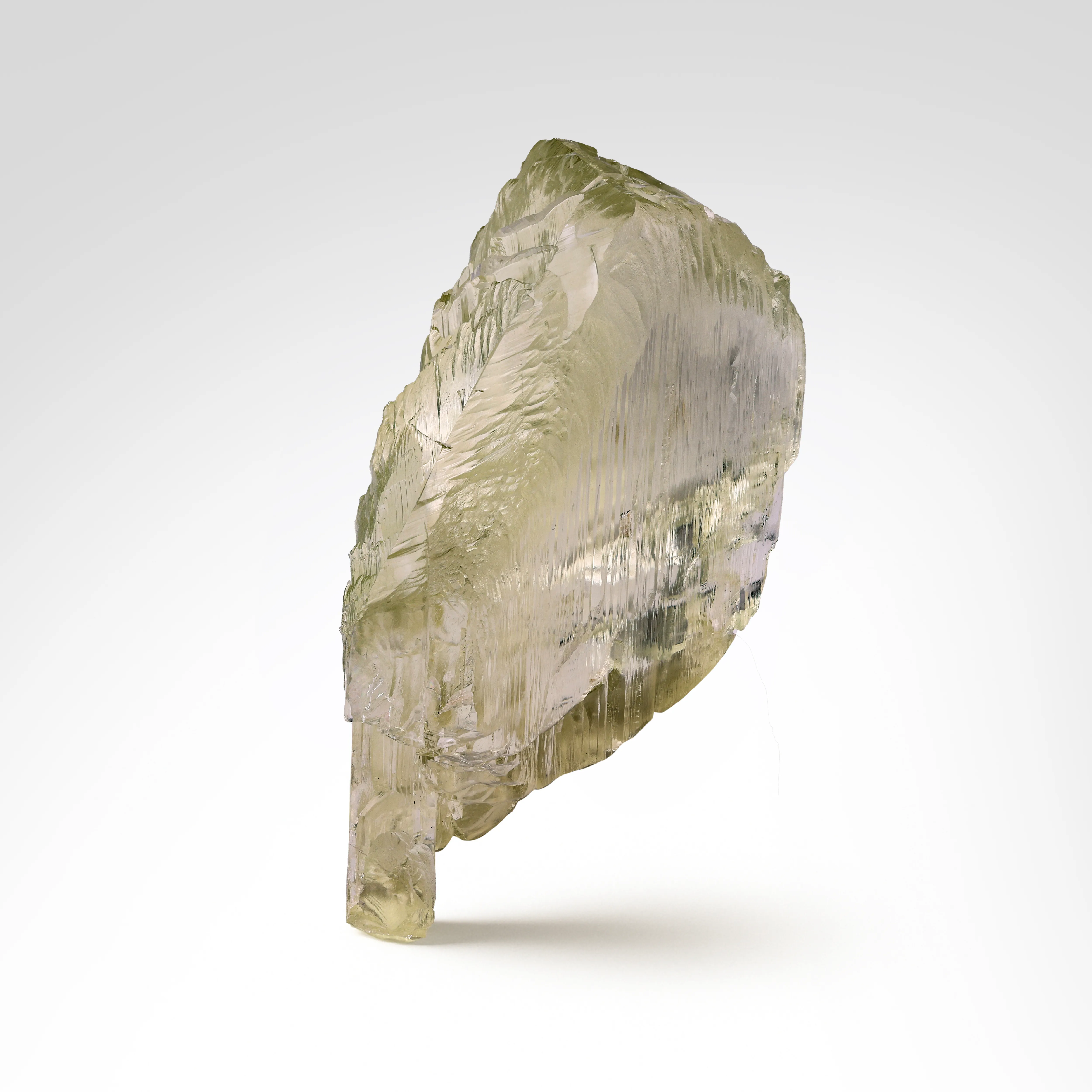 California Triphane - image 2