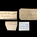 Calomel with Cinnabar and NATIVE Mercury - image 1