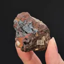 Calomel with NATIVE Mercury - image 2