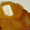 Campyllite (Var. Of Mimetite) on Quartz - image 3
