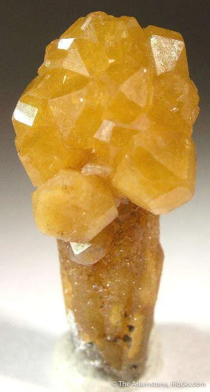 Campyllite (Var. Of Mimetite) on Quartz image