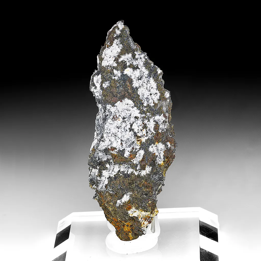 Canavesite with Pyrite image