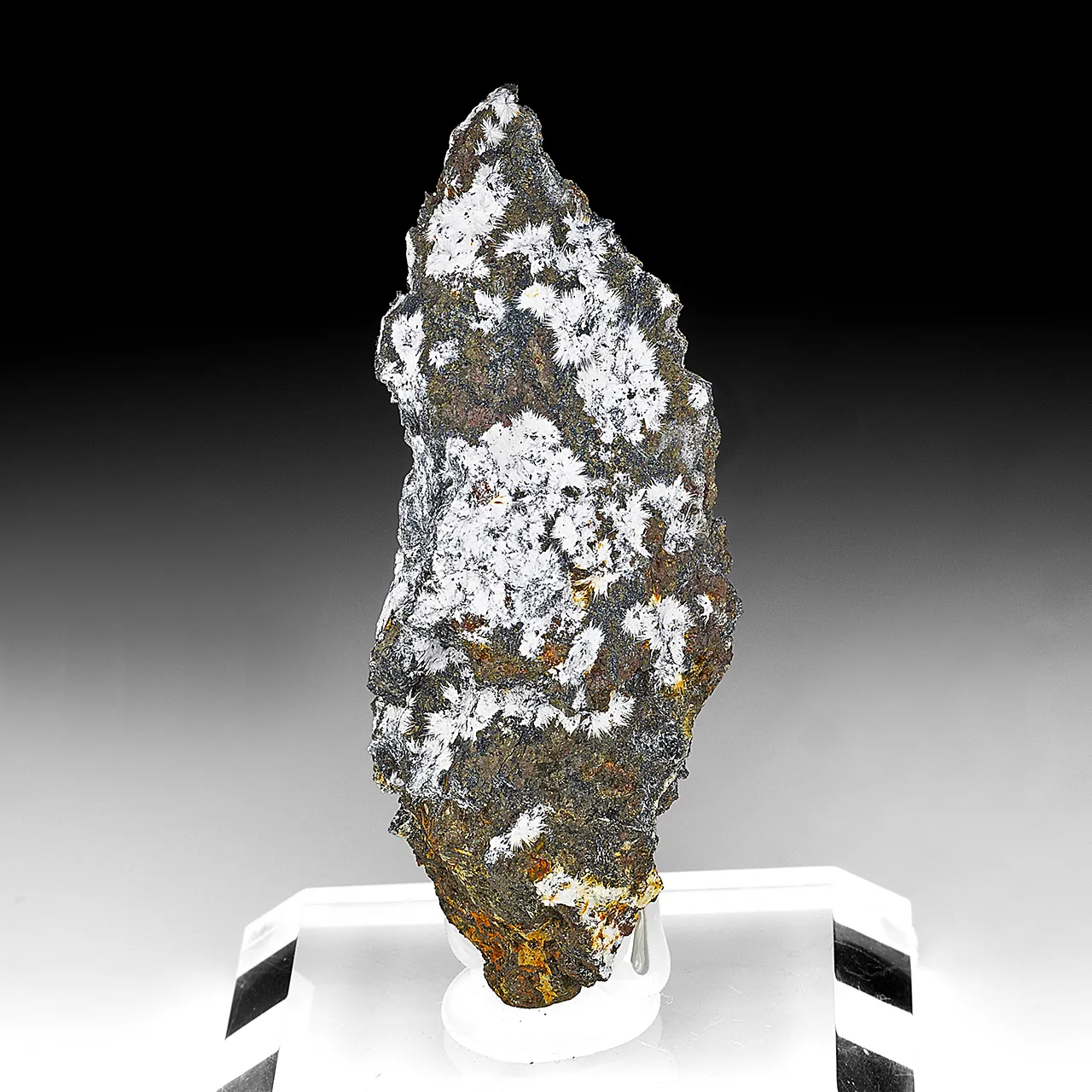Canavesite with Pyrite - image 1
