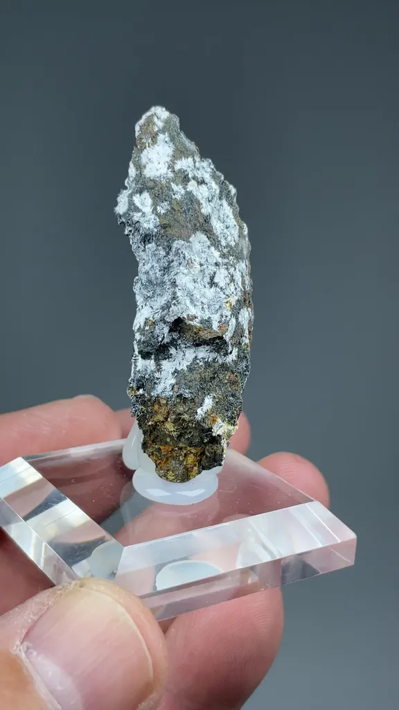 Canavesite with Pyrite - image 2