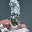 Canavesite with Pyrite - image 2