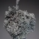 Canfieldite on NATIVE Silver - image 1