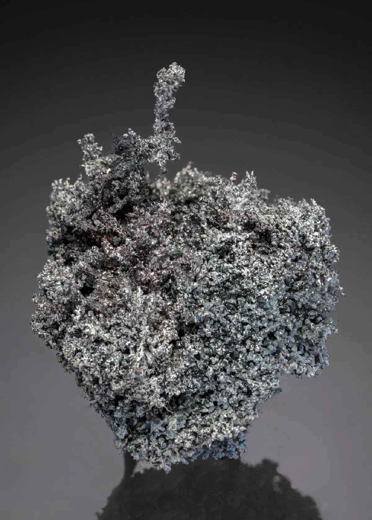 Canfieldite on NATIVE Silver - image 1