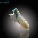 Captivating Bi-Color Tourmaline – A Skardu Gem of Nature’s Artistry - image 2