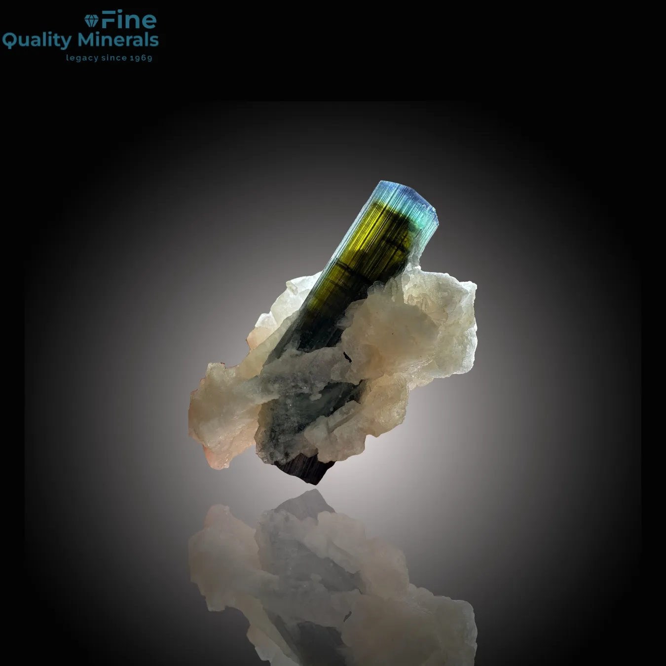 Captivating Bi-Color Tourmaline – A Skardu Gem of Nature’s Artistry - image 1