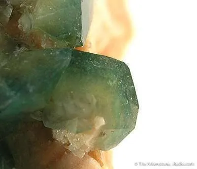 Carbonate-Fluorapatite on Feldspar - image 3