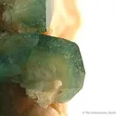 Carbonate-Fluorapatite on Feldspar - image 3
