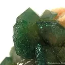 Carbonate-Fluorapatite on Feldspar - image 2