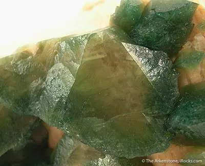 Carbonate-Fluorapatite on Feldspar - image 2