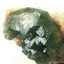 Carbonate-Fluorapatite on Feldspar - image 2