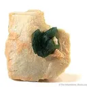 Carbonate-Fluorapatite on Feldspar - $300 -Sh) - image 1